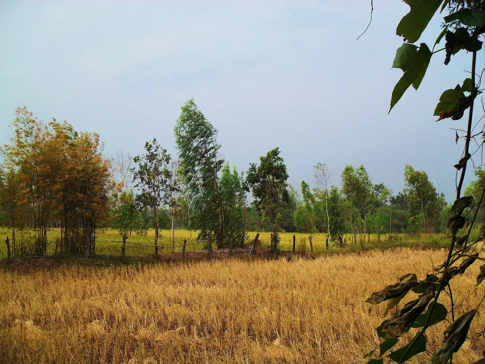 กรุงเทพฯ – อำนาจเจริญ