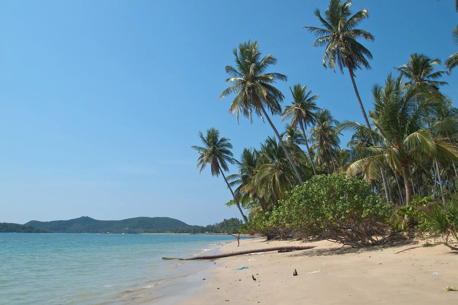 กรุงเทพฯ – เกาะหมาก