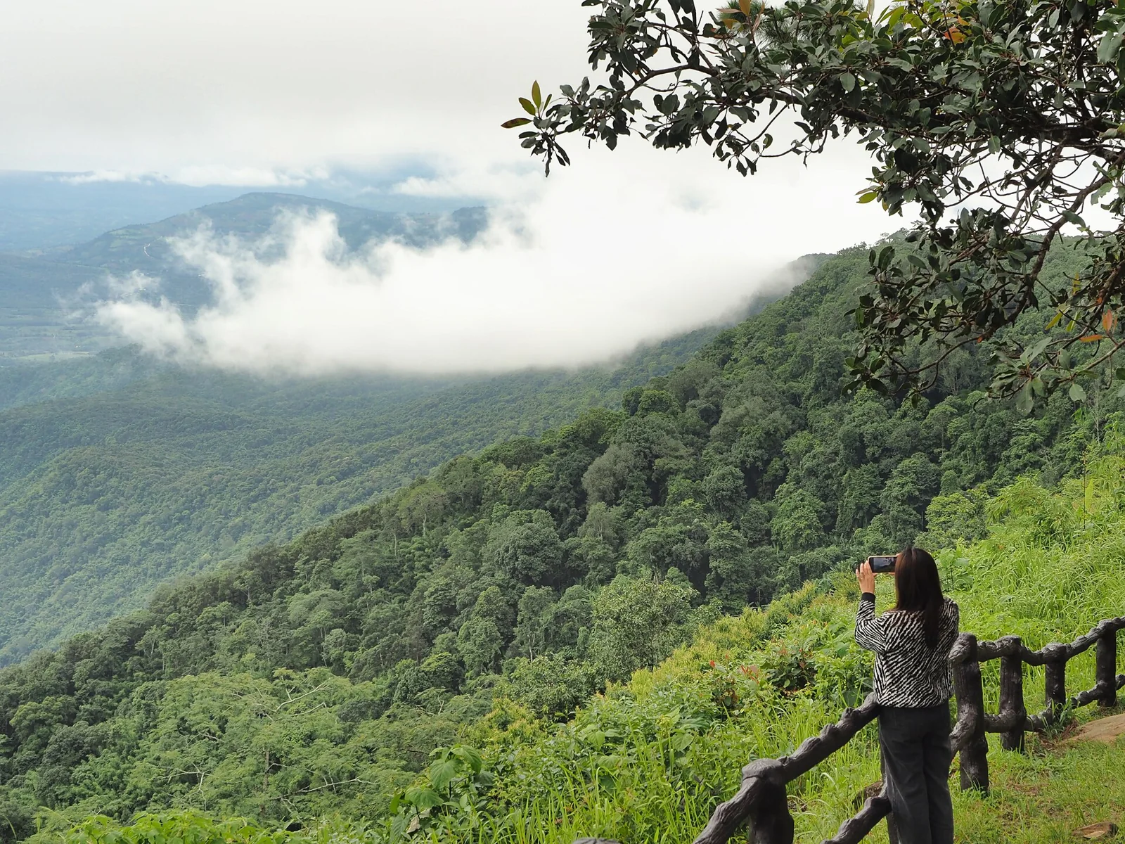 Bangkok to Phu Ruea