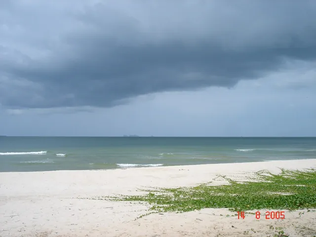 หาดทุ่งวัวแล่น