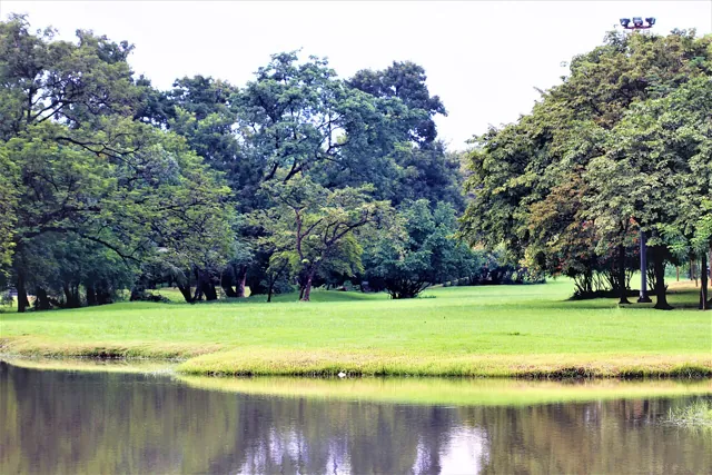 와치라벤차탓 공원 / 롯파이 공원 (Wachirabenchathat Park)